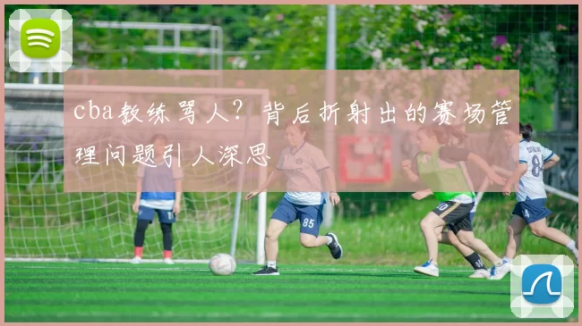 cba教练骂人？背后折射出的赛场管理问题引人深思