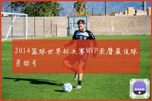 2014篮球世界杯决赛MVP荣膺最佳球员称号