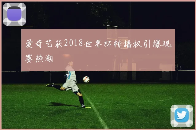 爱奇艺获2018世界杯转播权引爆观赛热潮